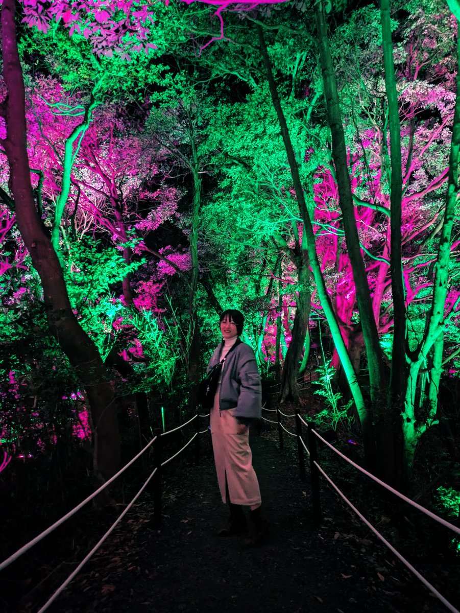 君と夜の森と遊ぶ