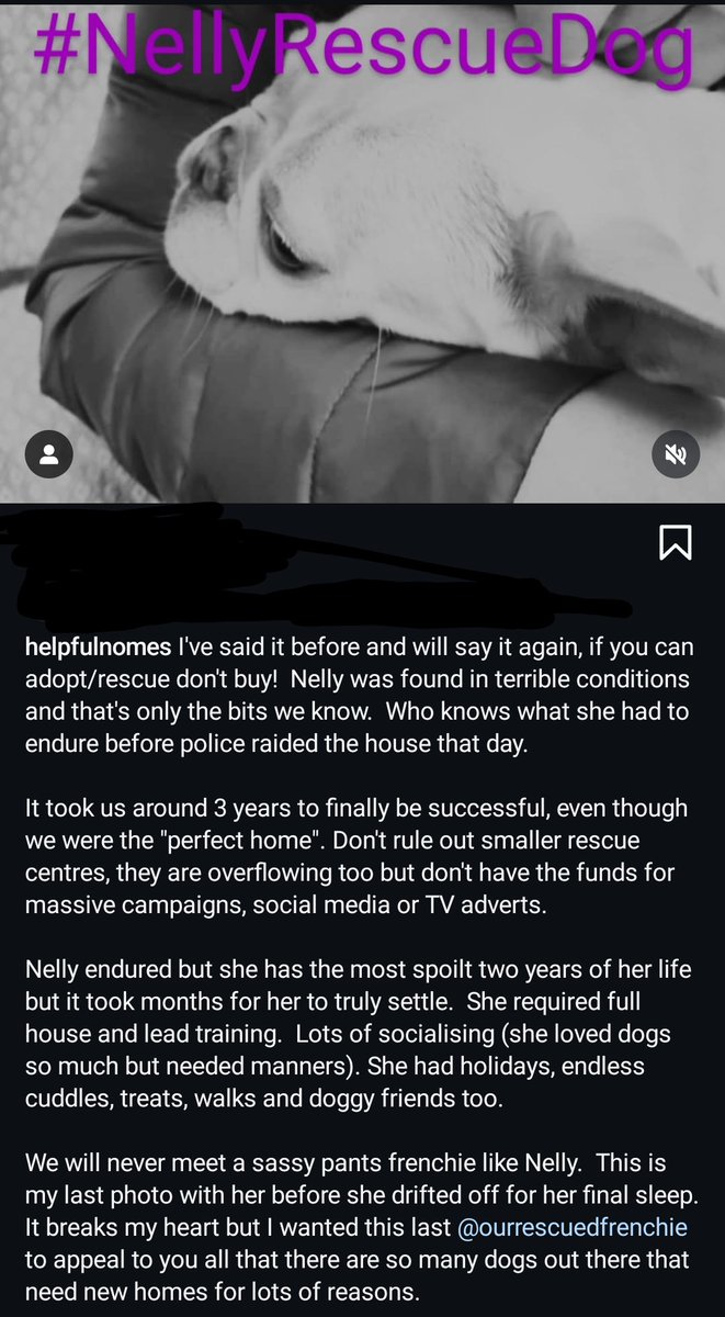 @HelpfulNomes tweet media