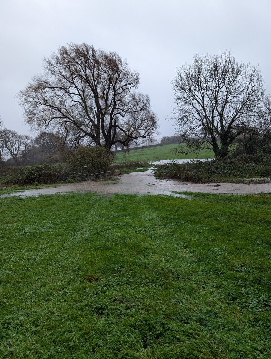 Having walked the dog twice today #Stormbert I feel qualified to rate various pieces of waterproof clothing. I can recommend a #berghaus coat, waterproof trousers from #MountainWarehouse and the left Welly of Cotswold wellies from #MoleValley The right Welly was useless! #wetfeet