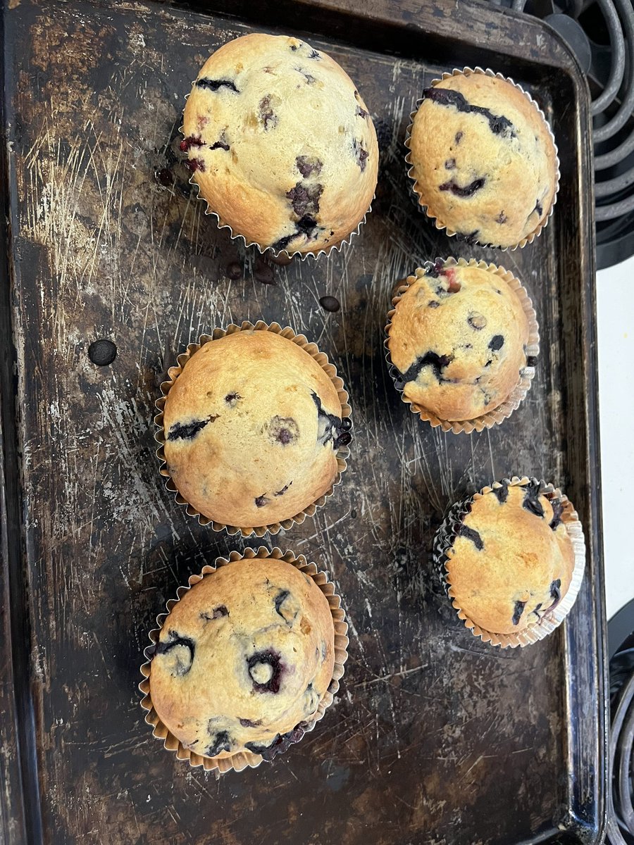 Roywood P.S. (@tdsb_roywoodps) on Twitter photo Student have been using literacy and numeracy skills to cook in the kitchen. This past week blueberry muffins were a hit. So delicious! We can’t wait for next week!!!
<a href="/PrincipalPegg/">αмαη∂α ρєgg</a> Student have been using literacy and numeracy skills to cook in the kitchen. This past week blueberry muffins were a hit. So delicious! We can’t wait for next week!!!
<a href="/PrincipalPegg/">αмαη∂α ρєgg</a>