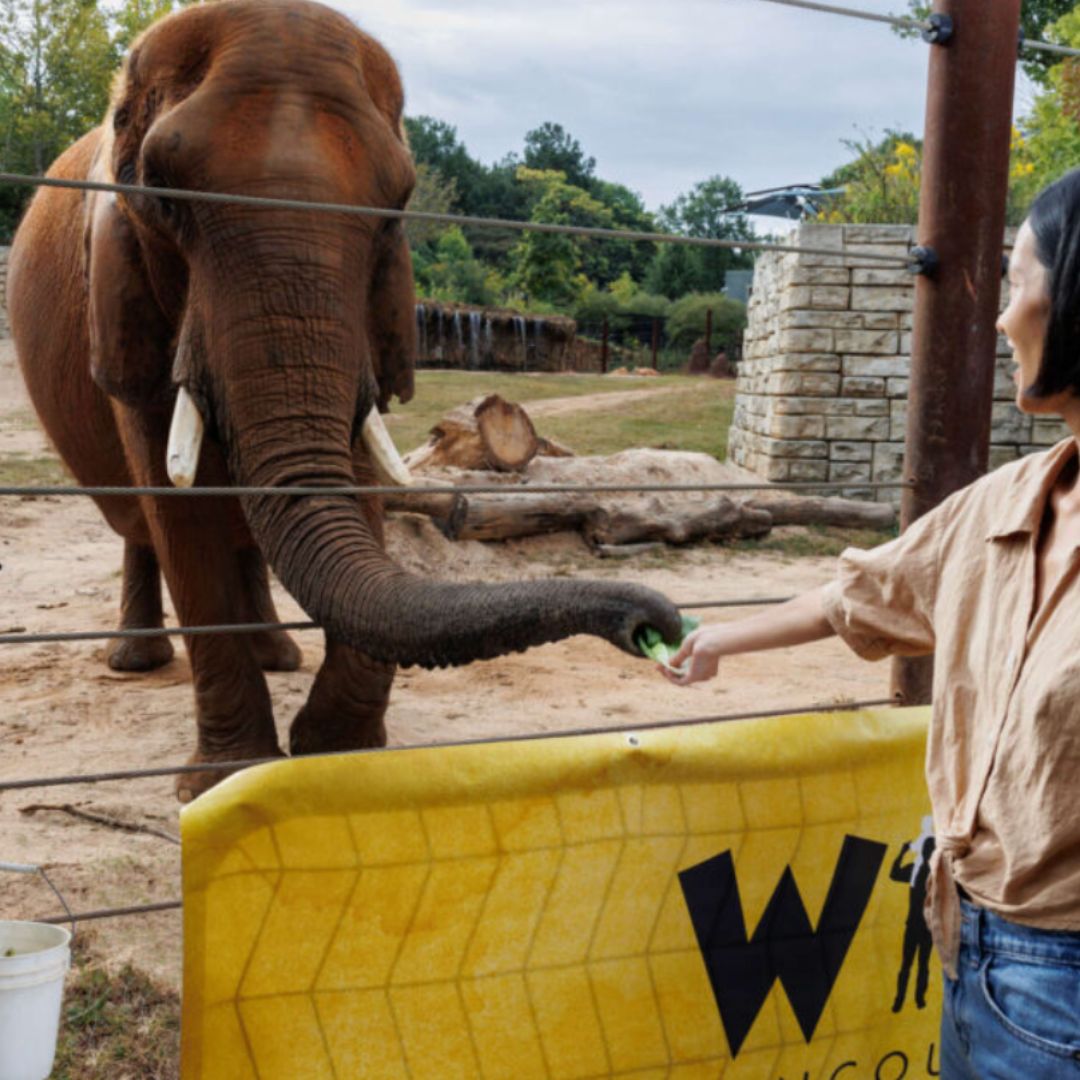 Visiting family or friends in Atlanta this Thanksgiving? 🦃🍂 Make the most of your holiday with <a href="/CityPASS/">CityPASS</a>!  🎟️ Explore top attractions like the @georgiaaquarium, <a href="/ZooATL/">ZooATL</a>,  and more—all while saving big. 🐠🐘✨ Get your CityPASS at the link here!

bit.ly/4hHgN6U