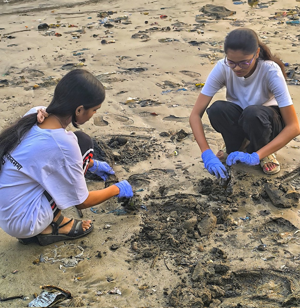 KeepHopeAlive_0's tweet photo. #keephopealivefoundation
🌊 #Blueseacleaning Initiative  Week108#Mission 
📍 Location: Dana Pani Beach
🗓️ Date: [24th November 2024]
⏰ Time: [7.30 A.M]
Appreciation and Support:
🤝 Collaboration with @hidushfoundation
✨ Supported by @my_bmc
Appreciation @patkarnssunit https://t.co/TyzYVqeII7
