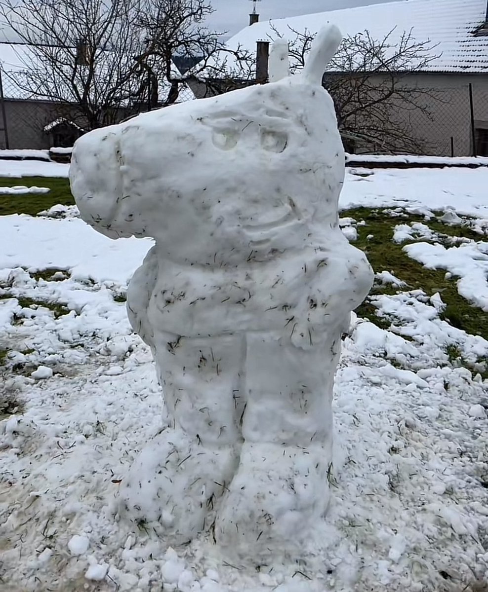 SNOWY GUY tweet media