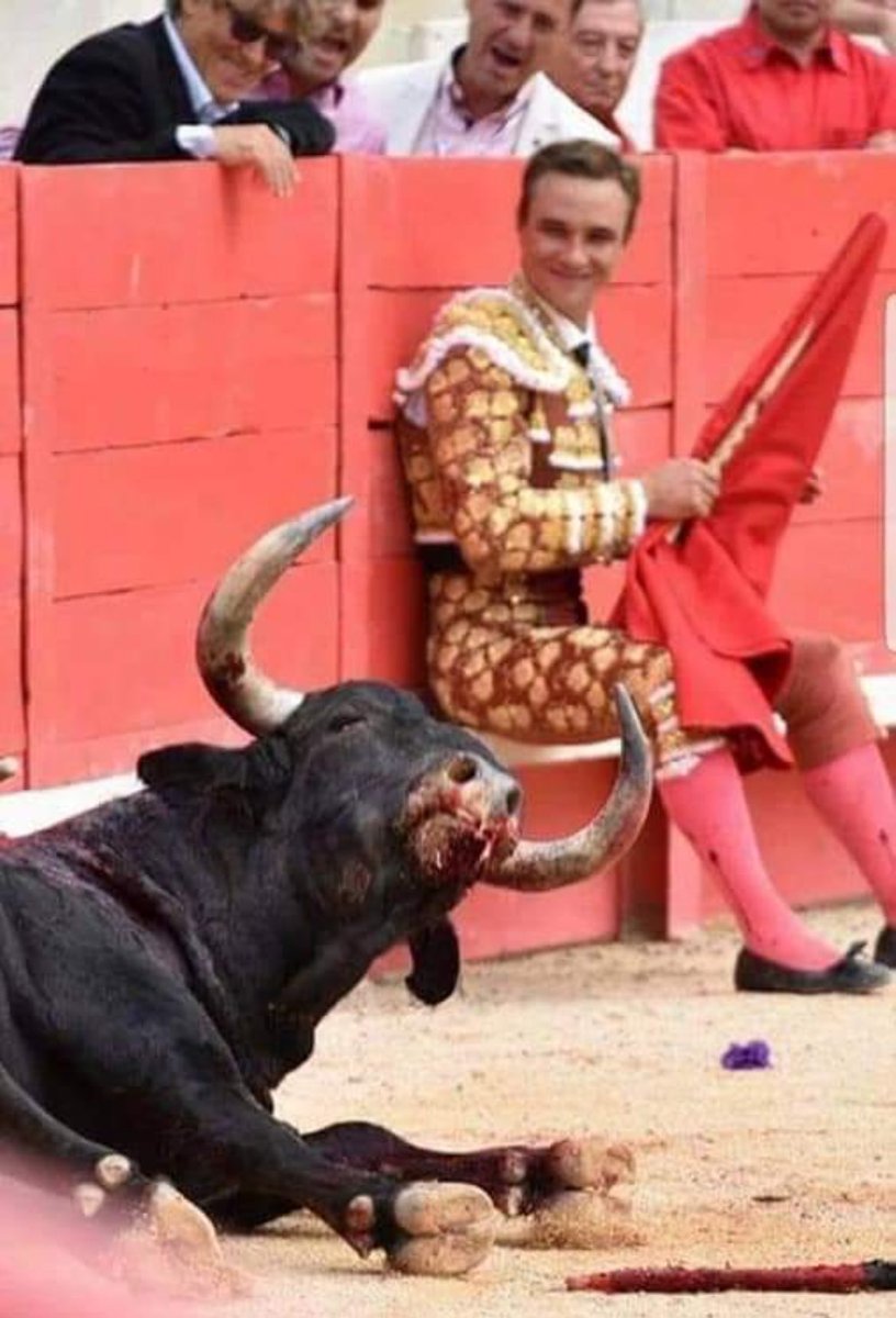 More proof that humans are the most sadistic species.