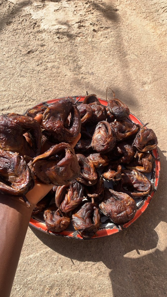 Aminnadamu's tweet photo. 50pcs.  35k https://t.co/onvAx4vdVn