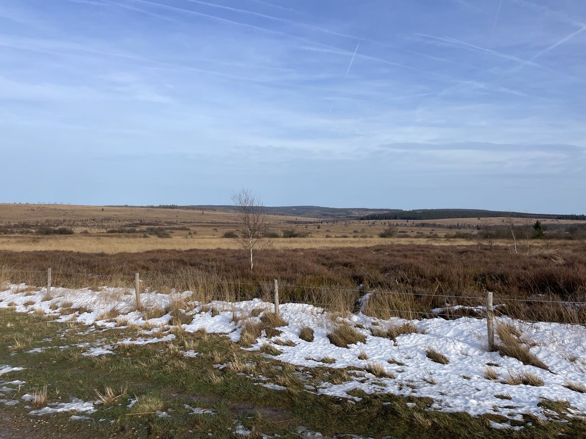 Klaus Pohlmann tweet media