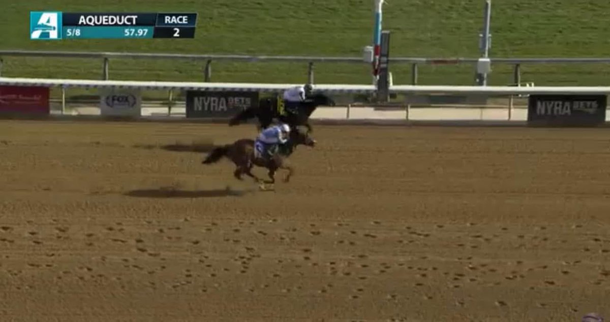 Laser Sharp takes the 2nd race at Aqueduct for trainer John Terranova and the connection of Gatsas Stables and Steve Schoenfeld! He was a pleasure to have out at GMP Farm! 💜💪🏼 #winwithGMP