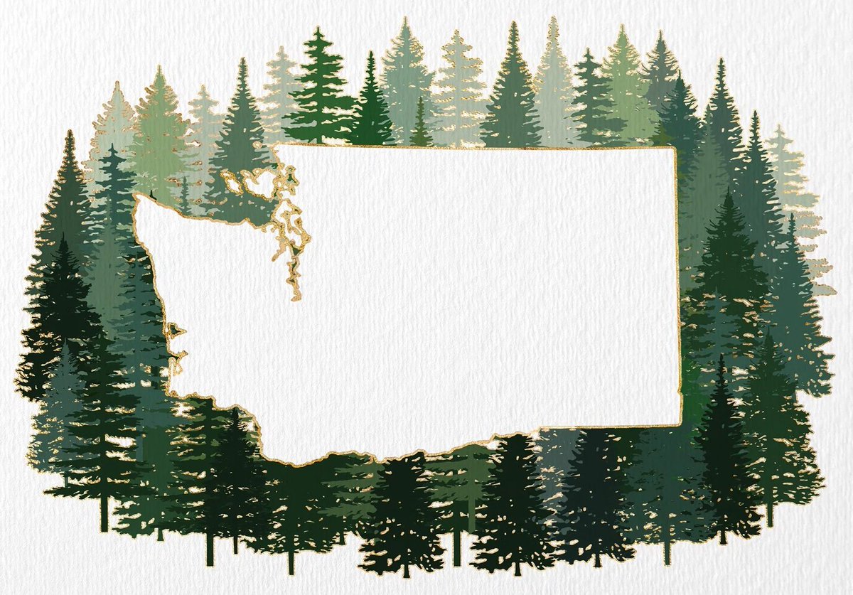 🚨WA FOOTBALL RECRUITS🚨

End of season is a great time to join the FREE spreadsheet. This goes to colleges for free. If you've entered before, I will delete your old post. '28 will open soon.

'25: forms.gle/jSZ3f1yCodVqbx…
'26: forms.gle/dG3LsL9mwFWRkT…
'27: forms.gle/GFzH6mNLDLVkhV…