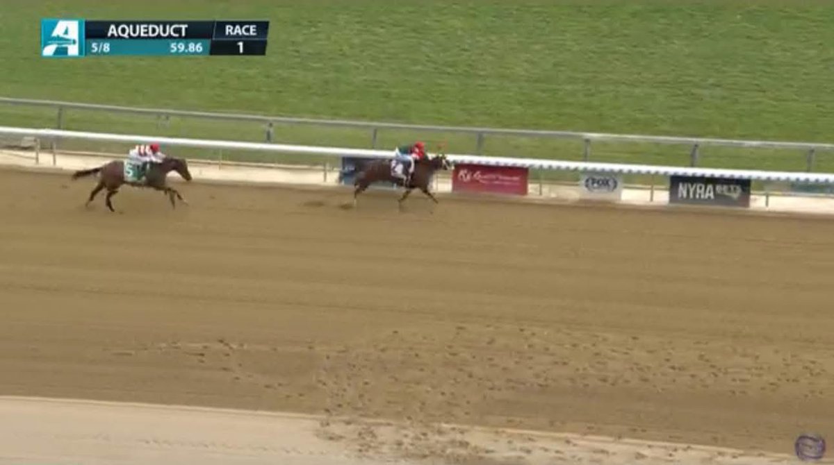 Prancing Spirit breaks her maiden taking the 1st race at Aqueduct today for trainer Todd Pletcher and the connection of Starview Stable! Thank you for entrusting GMP Farm with her she was a pleasure to have on property! 💪🏼💜 #winwithGMP