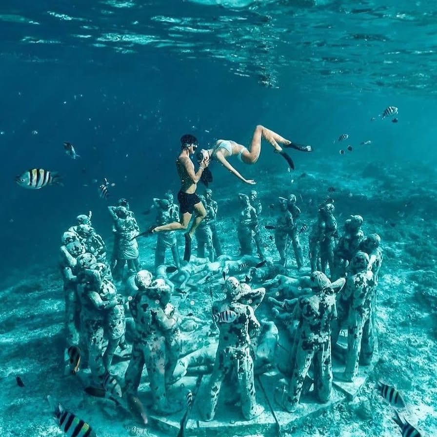 scubadivingyard's tweet photo. Perfect water color!😍
-
 
#scubadivinglife #ilovediving #scubadivinggirls #diving_photography #wreckdiving #scubalove #cavediving #scubadiverlife #divingphoto #underwatervideo https://t.co/utxohdwafO
