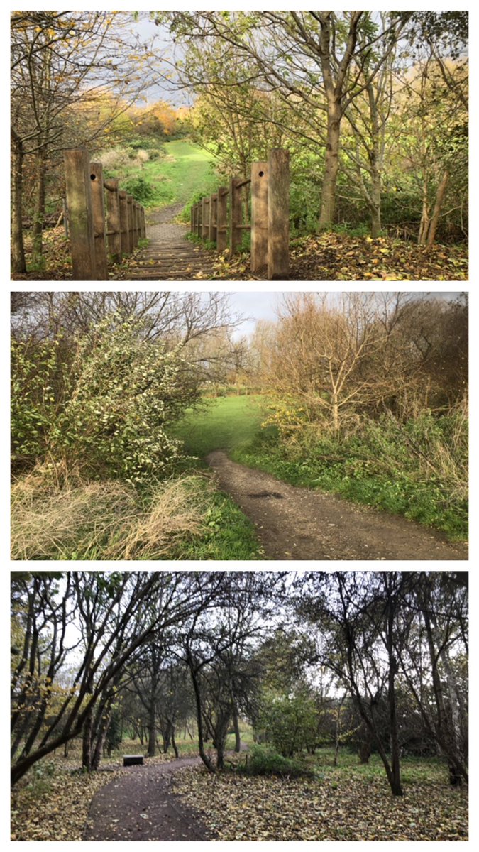 Early post as it’s #AndyIrvine in #Walthamstow 🎵🎤🎶 a few 🚴🏼 commute miles 2 🏃🏼‍♀️🏃🏼‍♀️ a 🏋🏼‍♀️ and a windy  5 mile Sunday walk locally ⬇️ #NHS1000miles - hope it’s been  good week peeps 😊