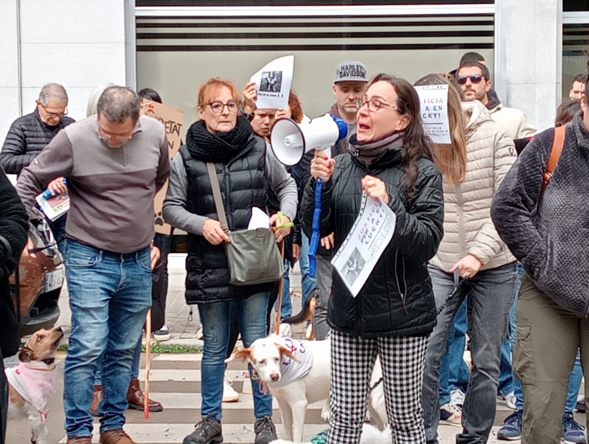punsix's tweet image. Unes 130 persones amb uns quaranta gossos s’han concentrat davant de l’Ajuntament de Banyoles per reclamar als lladres d’en Lucky, el gos de Navata, que el retornin. El van robar de casa seva l’11 de novembre. El sospitós viu a Banyoles. No hi ha novetats de la investigació.