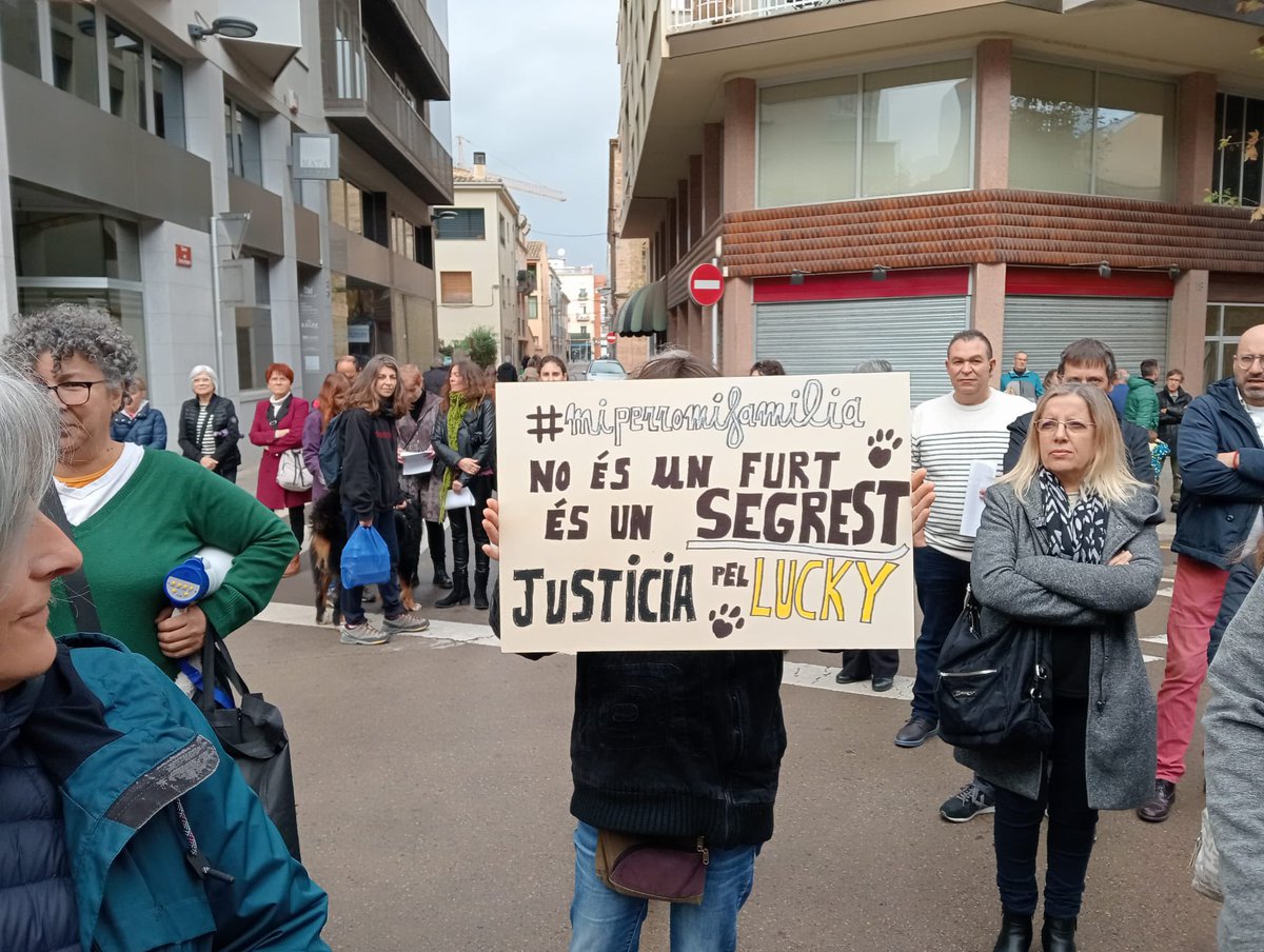 punsix's tweet image. Unes 130 persones amb uns quaranta gossos s’han concentrat davant de l’Ajuntament de Banyoles per reclamar als lladres d’en Lucky, el gos de Navata, que el retornin. El van robar de casa seva l’11 de novembre. El sospitós viu a Banyoles. No hi ha novetats de la investigació.