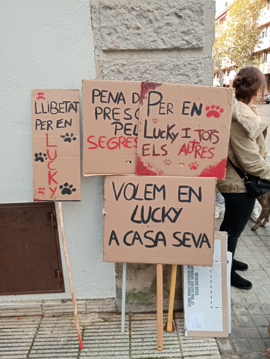 punsix's tweet image. Unes 130 persones amb uns quaranta gossos s’han concentrat davant de l’Ajuntament de Banyoles per reclamar als lladres d’en Lucky, el gos de Navata, que el retornin. El van robar de casa seva l’11 de novembre. El sospitós viu a Banyoles. No hi ha novetats de la investigació.