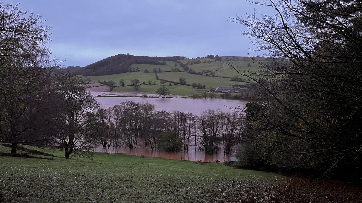 David Loughlin💙 tweet media