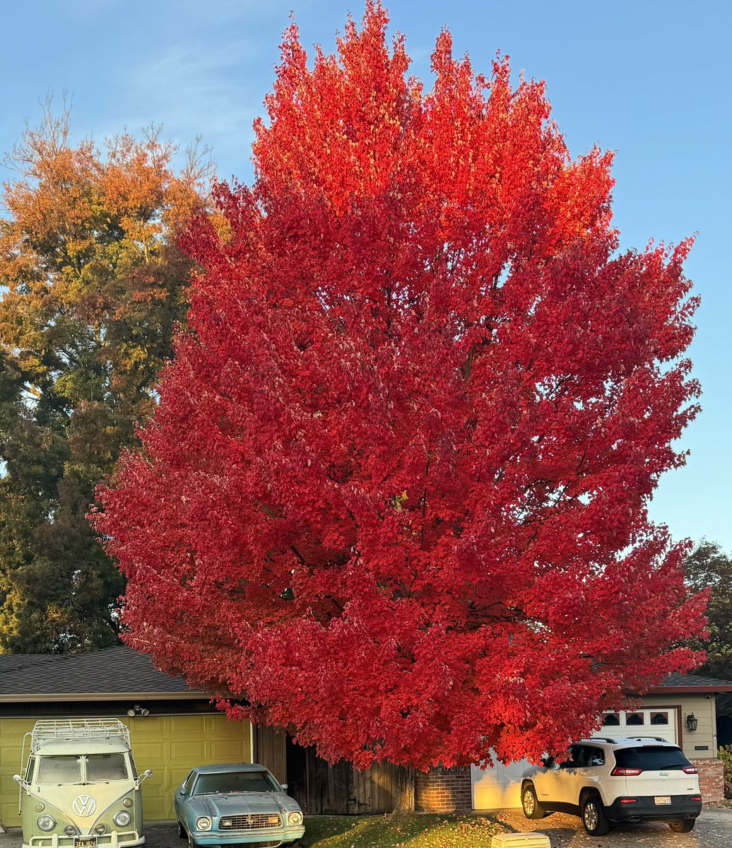 When New England visits Stockton (just down the street)