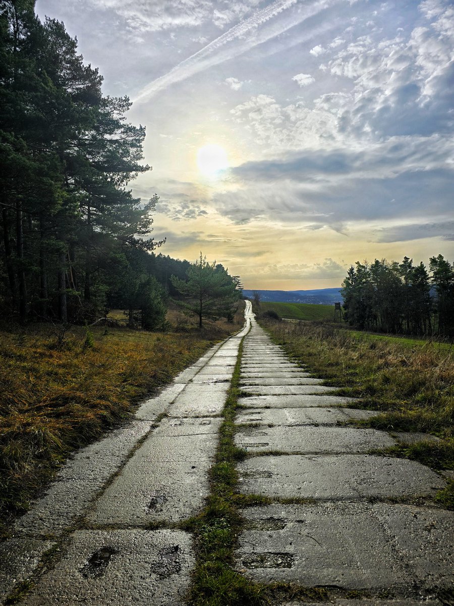 Tom Tomson tweet media