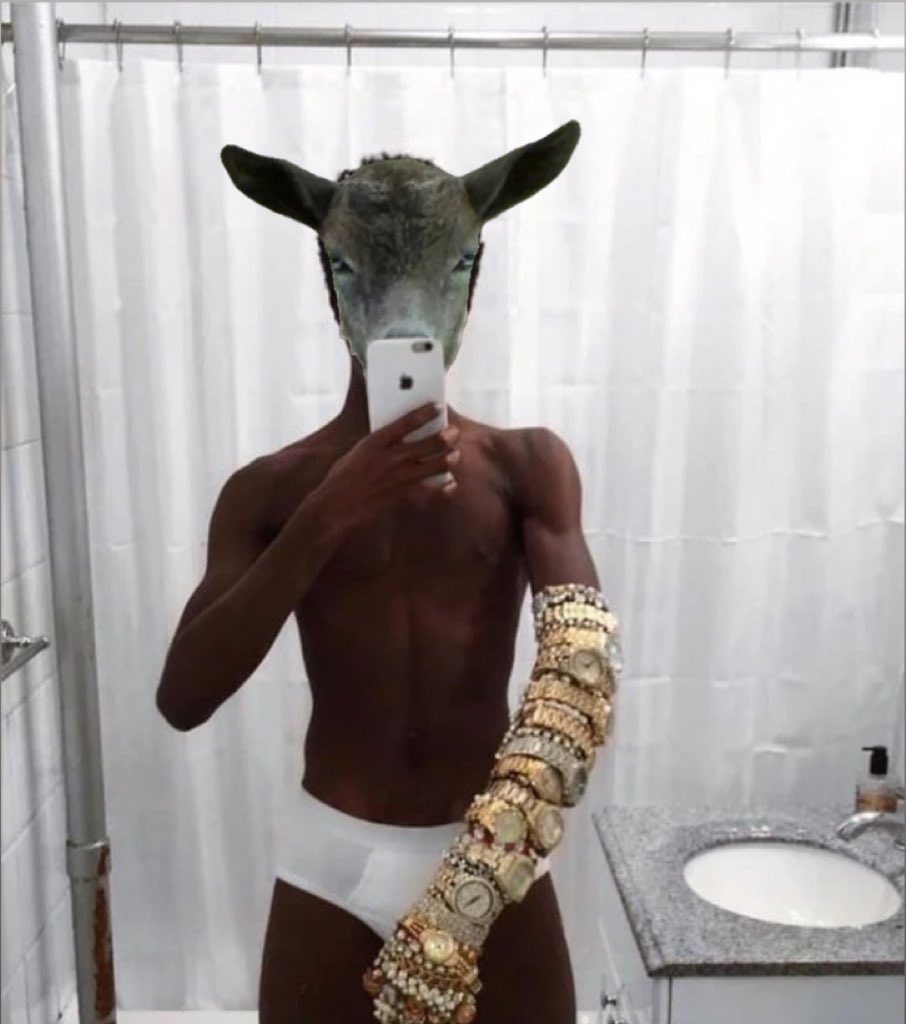 Gilly_the_Goat's tweet photo. It’s just a matter of time boys 💸

$GOAT https://t.co/SwazEStcQF