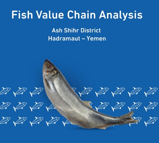 UNDPYemen's tweet photo. Our fish value chain study 🐟 analyzes the fish sector in Ash Shihr, #Yemen, identifying strengths, weaknesses & potential investment opportunities 💪
Supported by @EUinYemen through our #SIERY Project.
Read more: https://t.co/8GR5bATyvz
#FishForFuture https://t.co/gbLZQ3H3qi