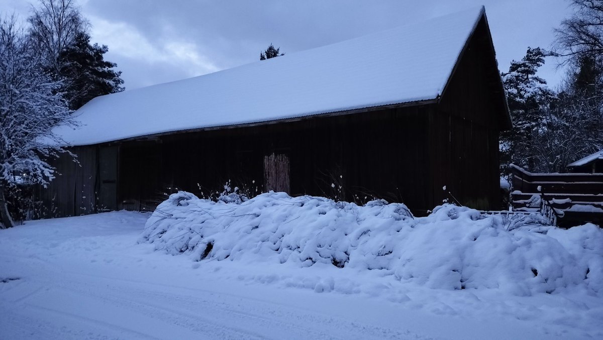 TurkuStreets's tweet photo. Gabrielinkadun päässä on vanha lato tai riihi tms. Tämä on tähän mennessä yllättävin kadunpää. Näitä peltoja on viljelty kauan, kunnes ne lohkottiin tonteiksi.

#gabrielinkatu #ylimaaria #everystreetofturku #turku #kissmyturku #crazyhobby https://t.co/dBpYlYRhla