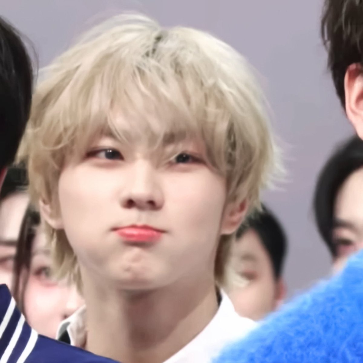 wonflkr's tweet photo. wonie the fluffiest ever😞 https://t.co/pt2GObSD8H