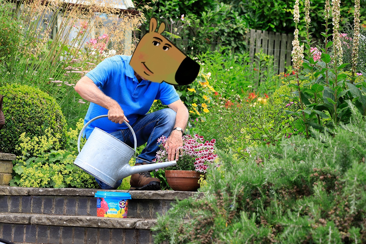 chillguycto's tweet photo. great day to touch some grass and chill. https://t.co/86ZfDjdAsi