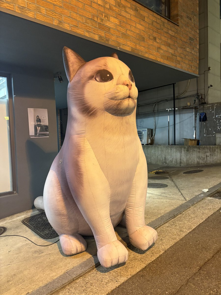 isisis85's tweet photo. @ソウル한남동 나들이
#이태원 #韓国 https://t.co/XxGLvjwdg3