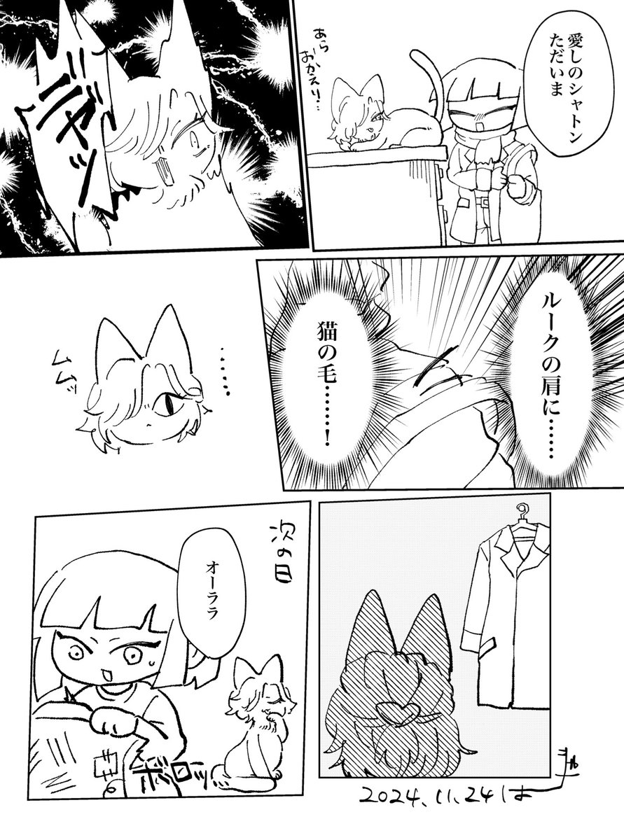 ヴィ猫のヴィルルク
綺麗にしてあげたわよ