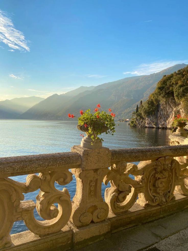 peacozy's tweet image. 