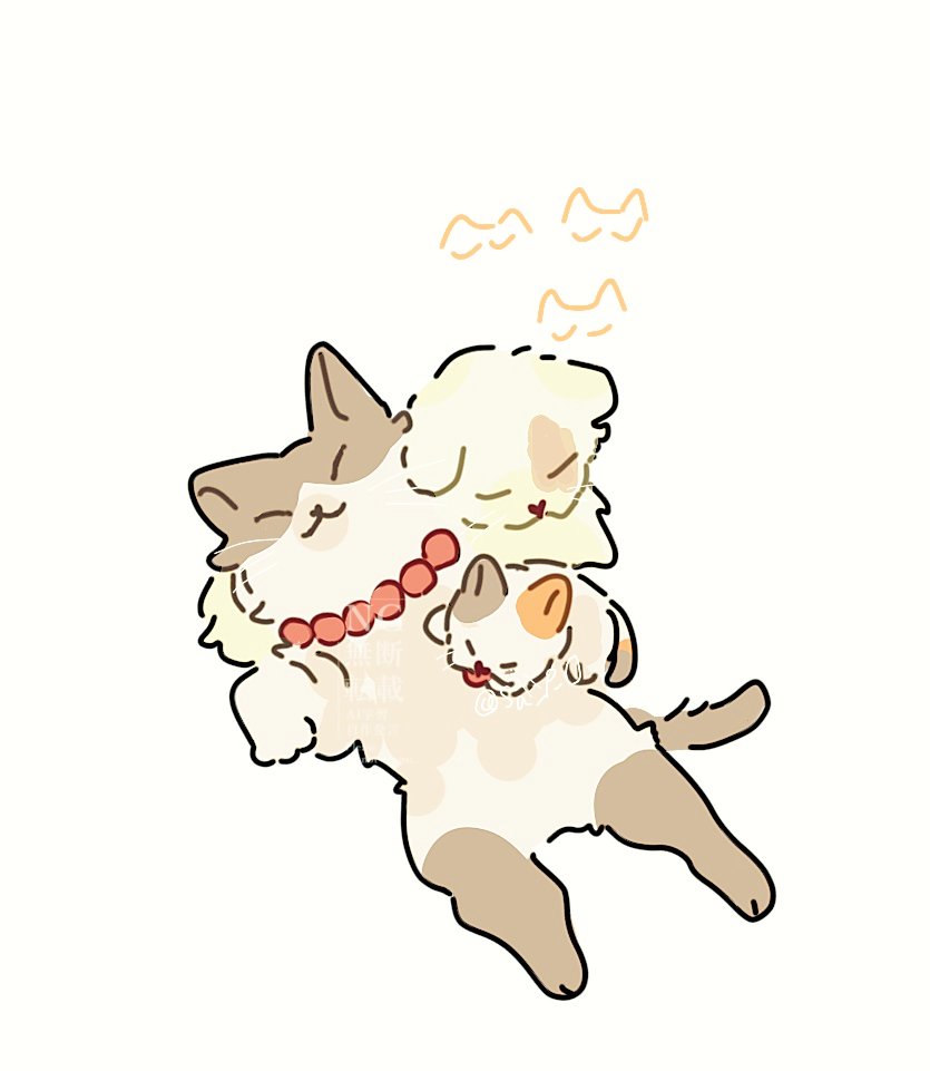 ？？ (@sa_p_0) on Twitter photo 