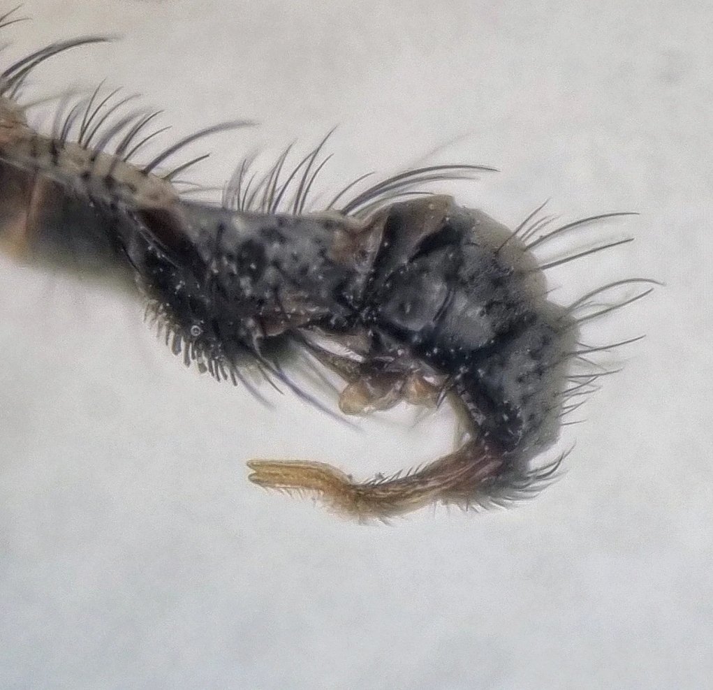 Ryan Mitchell tweet media