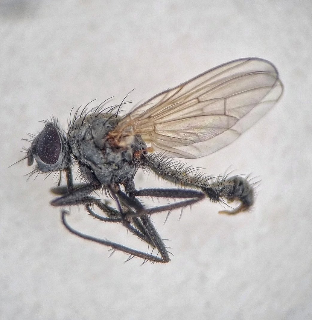 Ryan Mitchell tweet media