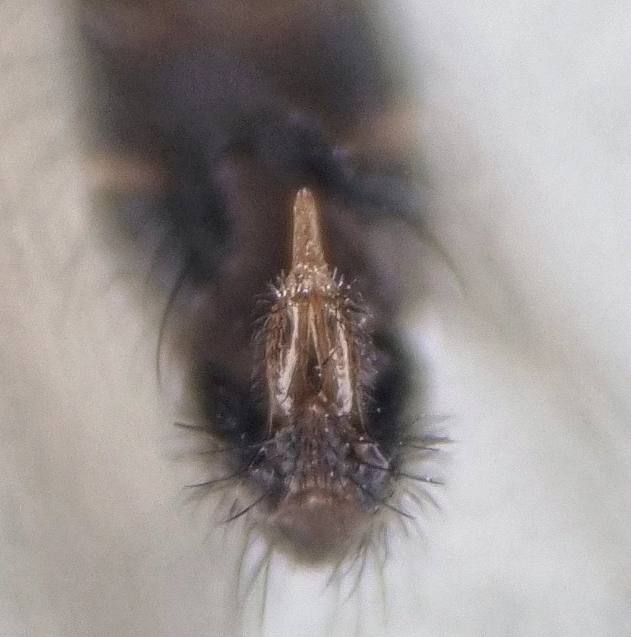 Ryan Mitchell tweet media