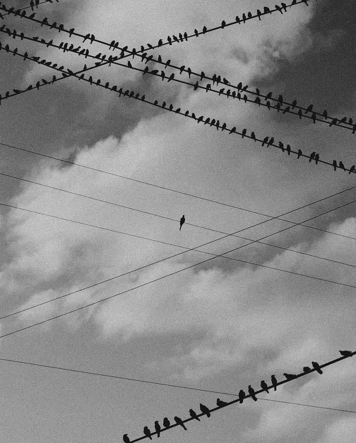 Mini Archillect (@miniarchillect) on Twitter photo 