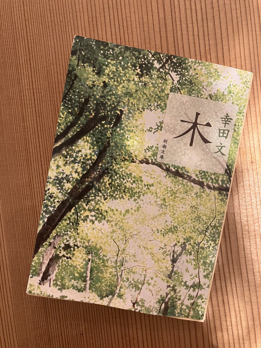 幸田文展 KODA AYA 41fIBYFgyuL._AC_UF350,