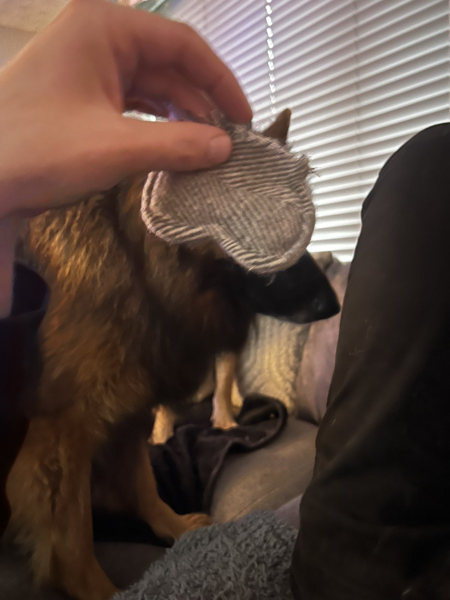 Richie missed his balls so much he ripped his toy on the shape of a new sack