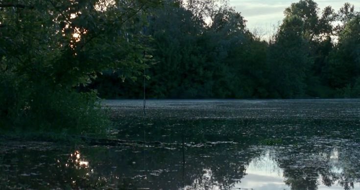 visionsinfilm's tweet photo. https://t.co/9Zhe5dnzJO