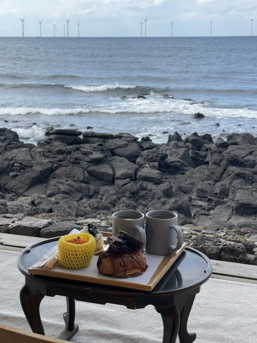 첫 제주도 여행 날씨도 좋고 맛있는 것도 먹고 너무 행복했음˙˚°✰