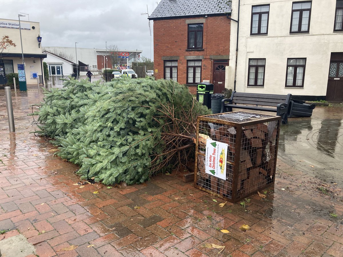 eileen_steele's tweet photo. It was a bit breezy in the night:
#Tiverton #MidDevon #LowmanGreen https://t.co/BNgEcrGy2Q