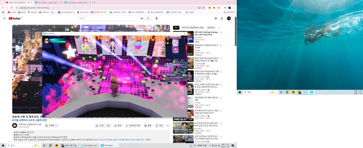 메타새벽 tweet media