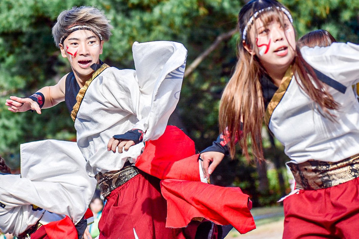 yu_s_pic's tweet photo. 早稲田大学"踊り侍" ①

#踊り侍 #早稲田大学踊り侍 #龍馬よさこい
2024.11.10 https://t.co/zKC8NDN7tZ