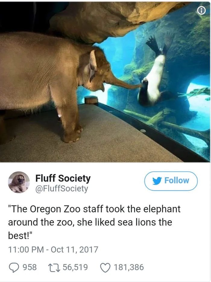 Loki's Squirrel ✝️ tweet media