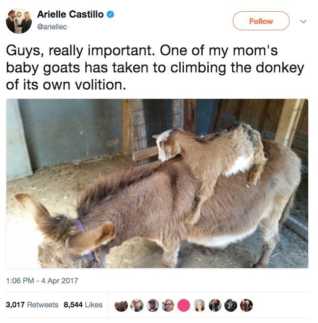 Loki's Squirrel ✝️ tweet media