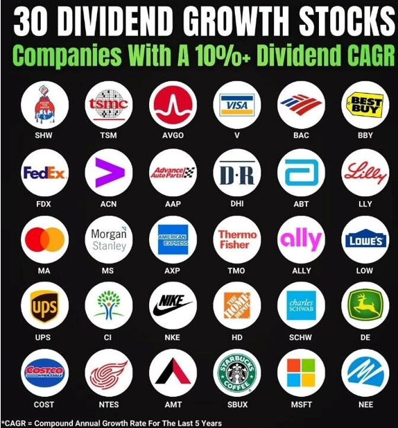 股息（CAGR）超过10%的30家公司
以下30家公司凭借其稳定的现金流、强大的市场地位和创新能力，在股东回报方面表现出色。特别是在科技、金融、消费品、医疗和工业等行业，这些企业通过不断的技术创新和市场扩展，实现了股息的持续增长，表现出强劲的长期投资潜力。