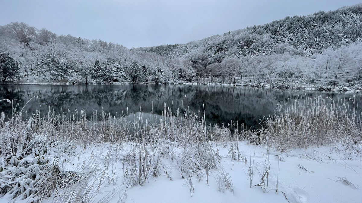 積雪は今日で15センチ前後☃️
熊の湯エリアは明日25日オープン🏂
横手山エリア26日オープン⛷
一ノ瀬、高天ヶ原エリアは30日オープン予定🎿
#志賀高原 #観光 #スキー #スノボー #冬 #おすすめ #信州 #おこみん #温泉 #長野 #熊の湯 #ピザ #ほたる温泉 #露天風呂 #貸切風呂 #横手山 #渋峠 #パン #旅行