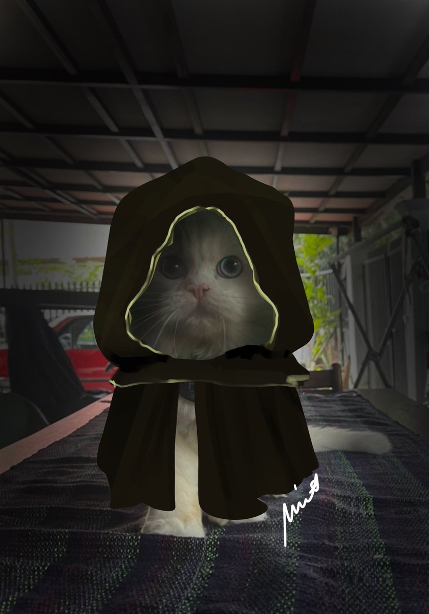 my cat looked like professor heimerdinger lolol

#Arcane #heimerdinger