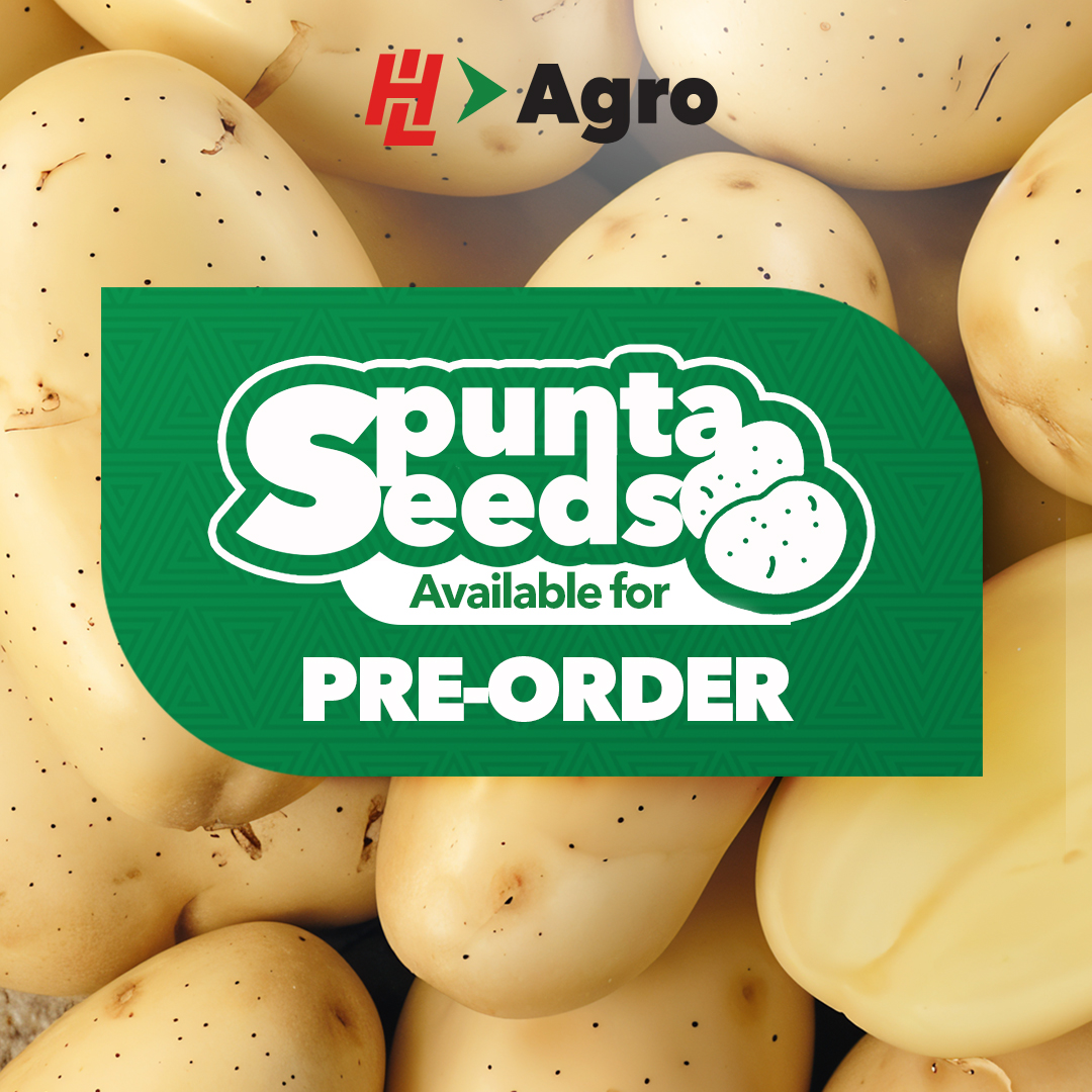 HLAgroJamaica's tweet image. Start planning your potato crop early. Pre-order your Spunta seeds today for the best yield in the next planting season.

Visit your nearest H&amp;amp;L Agro store to place your orders!

#Spunta #Buntapotatoe #Spuntabooking #HLAGRO