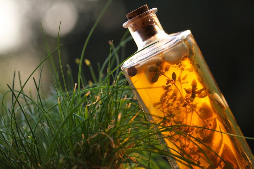 LearningHerbs tweet media