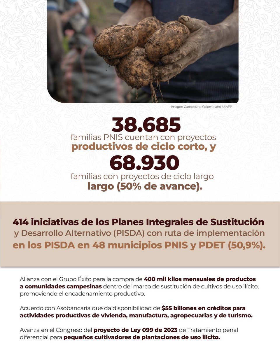 PAEColombiaOf's tweet image. 💡 La solución al problema de las drogas ilícitas significa grandes transformaciones del territorio, acceso a derechos y prosperidad para su gente, sustitución de cultivos con desarrollos alternativos y lucha contra las economías ilícitas y la violencia 🛡️📊✨#FirmesConElAcuerdo