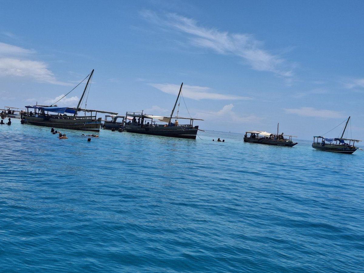 Molly Jerono tweet media